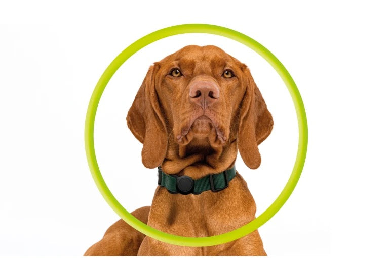 Obojek pro mazlíčky s držákem na AirTag Mobile Origin - černý - iSTYLE CZ