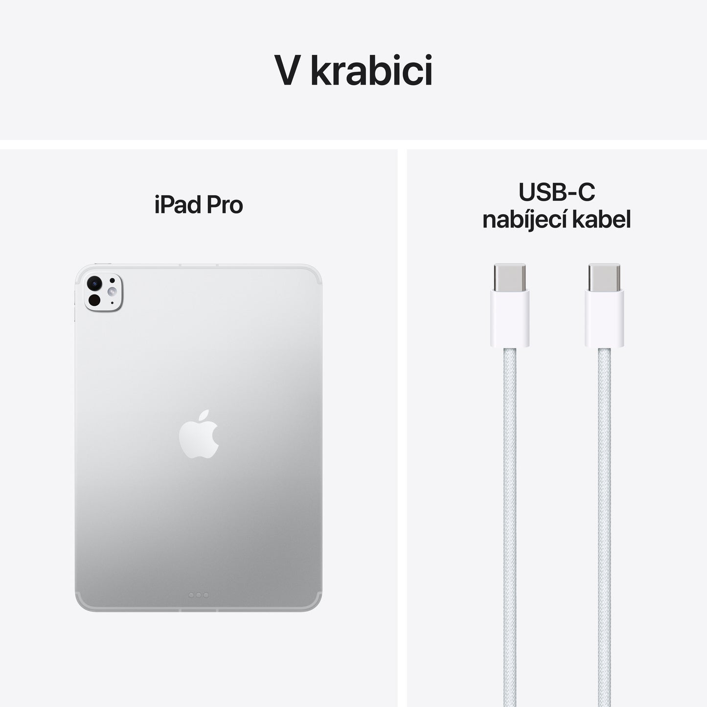 11palcový iPad Pro Wi-Fi + Cellular 2TB se standardním sklem - stříbrný