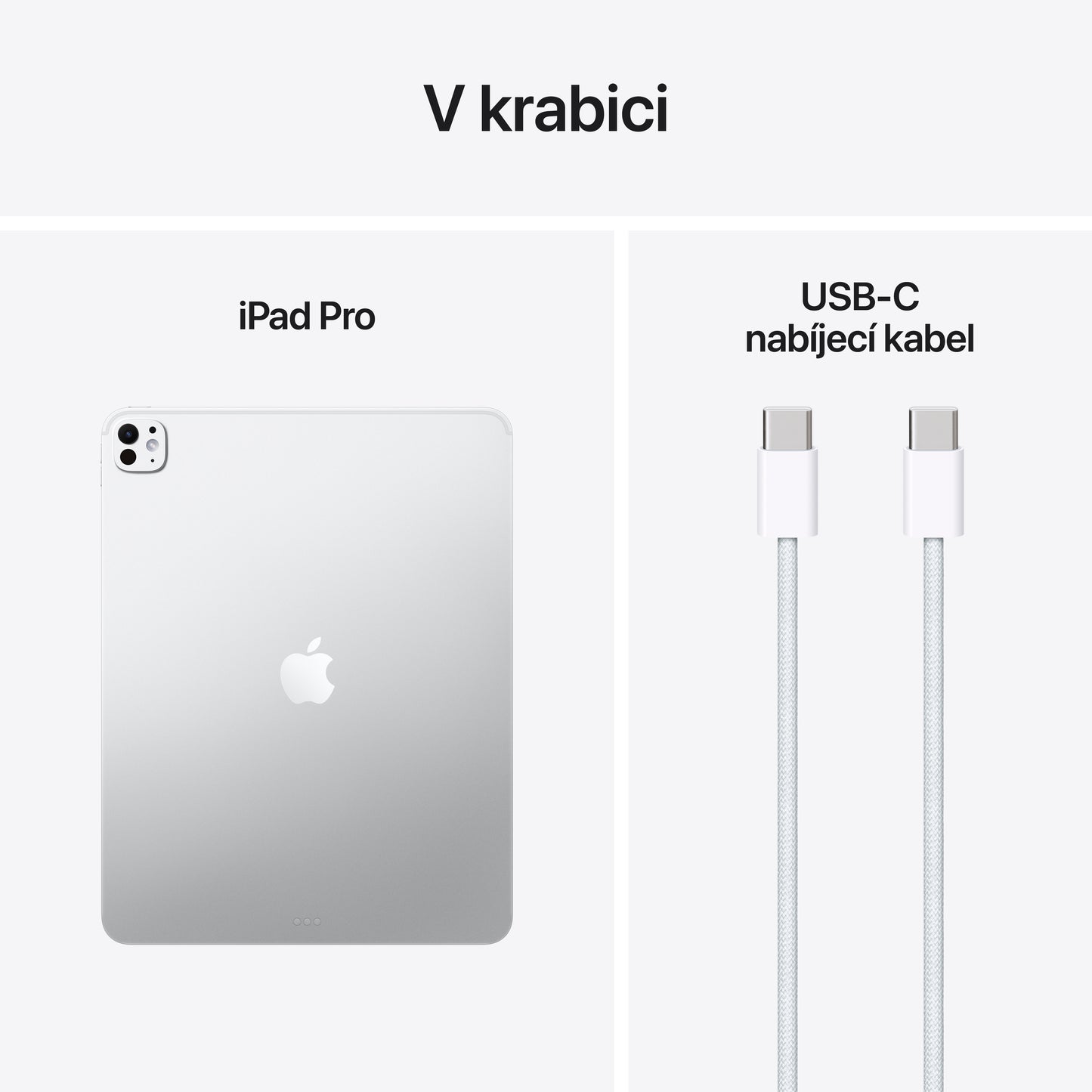 13palcový iPad Pro Wi-Fi 256GB se standardním sklem - stříbrný