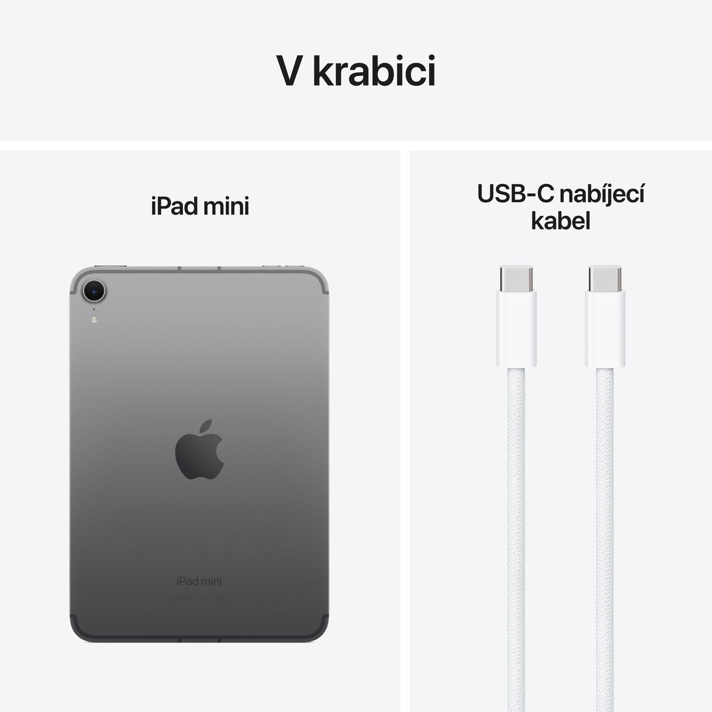 Apple iPad mini Wi-Fi + Cellular 128GB - vesmírně šedý (otevřený) - iSTYLE.cz