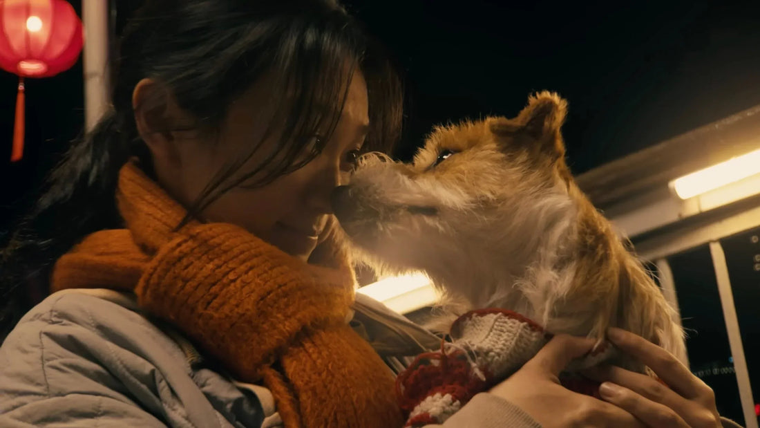 Dorazil letošní čínský novoroční krátký film společnosti Apple