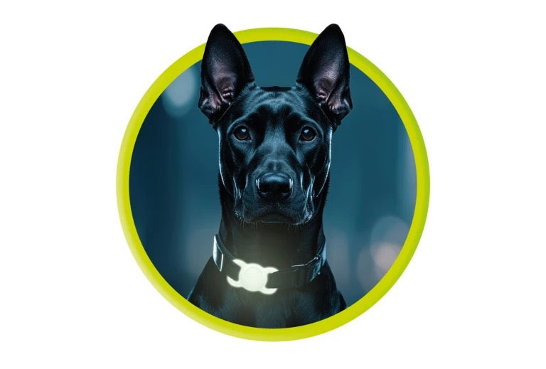 Obojek pro mazlíčky s držákem na AirTag Mobile Origin - svítící zelená - iSTYLE CZ