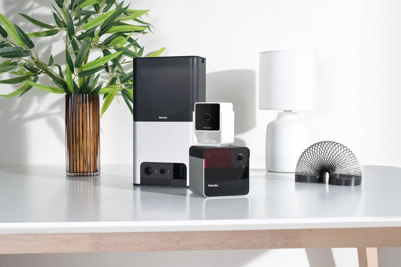 Monitor domácích mazlíčků PetCube Cam