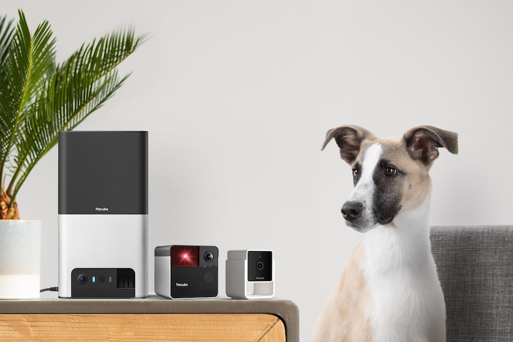 Monitor domácích mazlíčků PetCube Cam