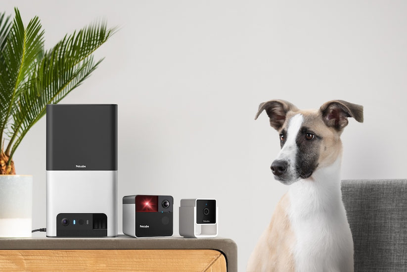 Monitor domácích mazlíčků PetCube Cam