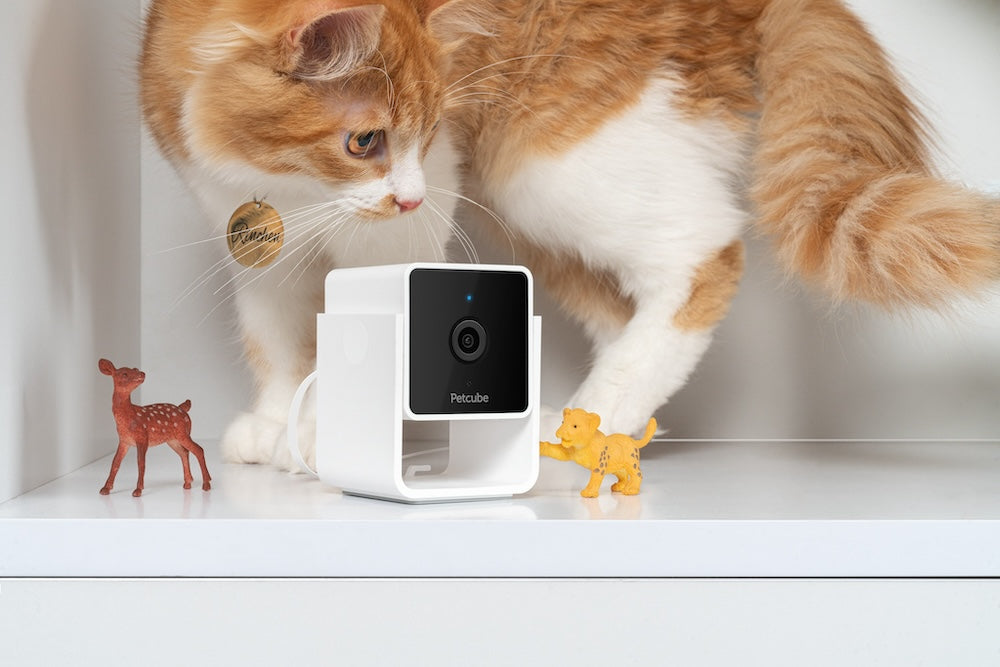 Monitor domácích mazlíčků PetCube Cam