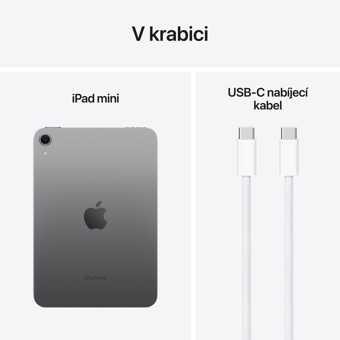 Apple iPad mini Wi-Fi 128GB - vesmírně šedý