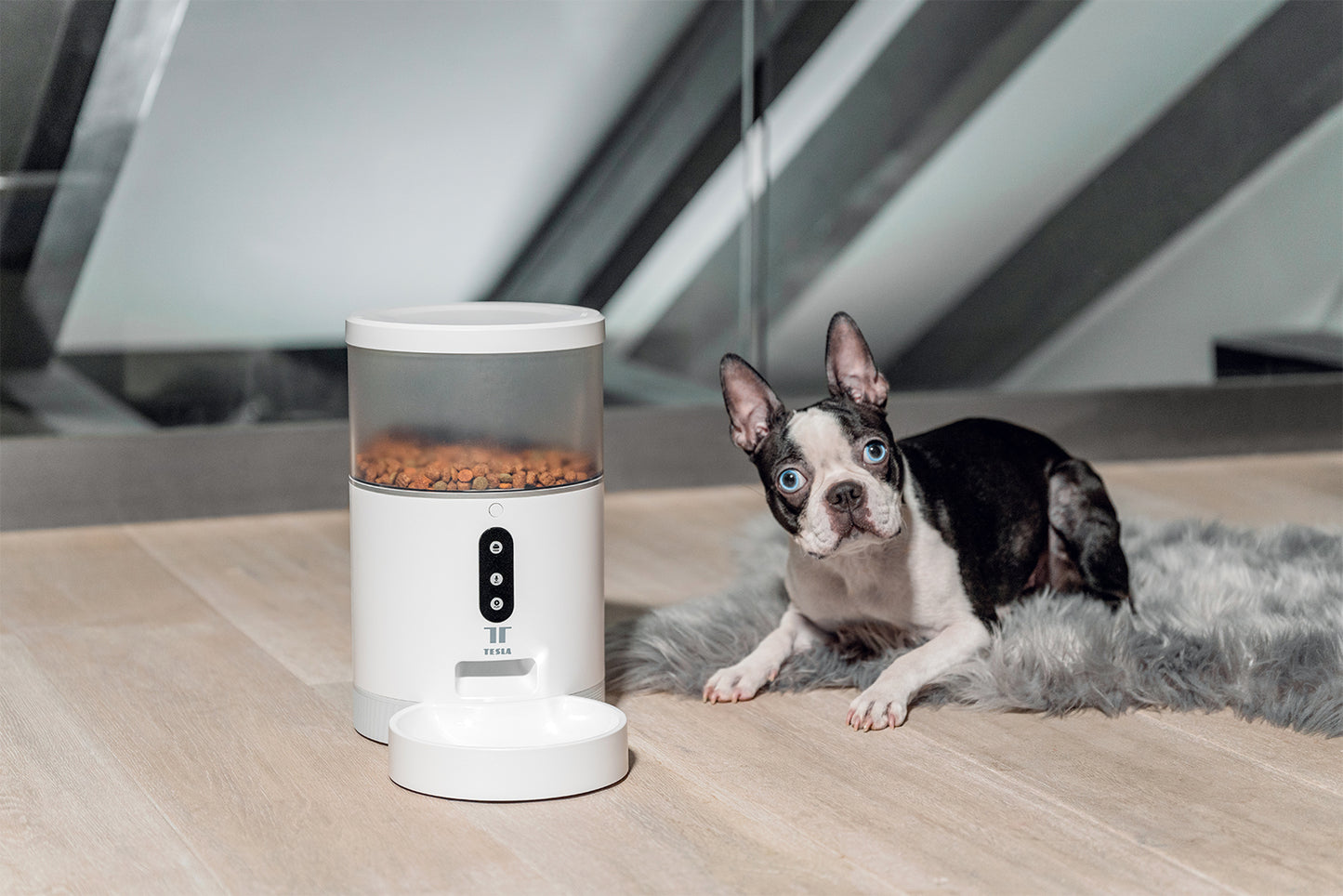Chytrý dávkovač jídla Tesla Smart Pet Feeder