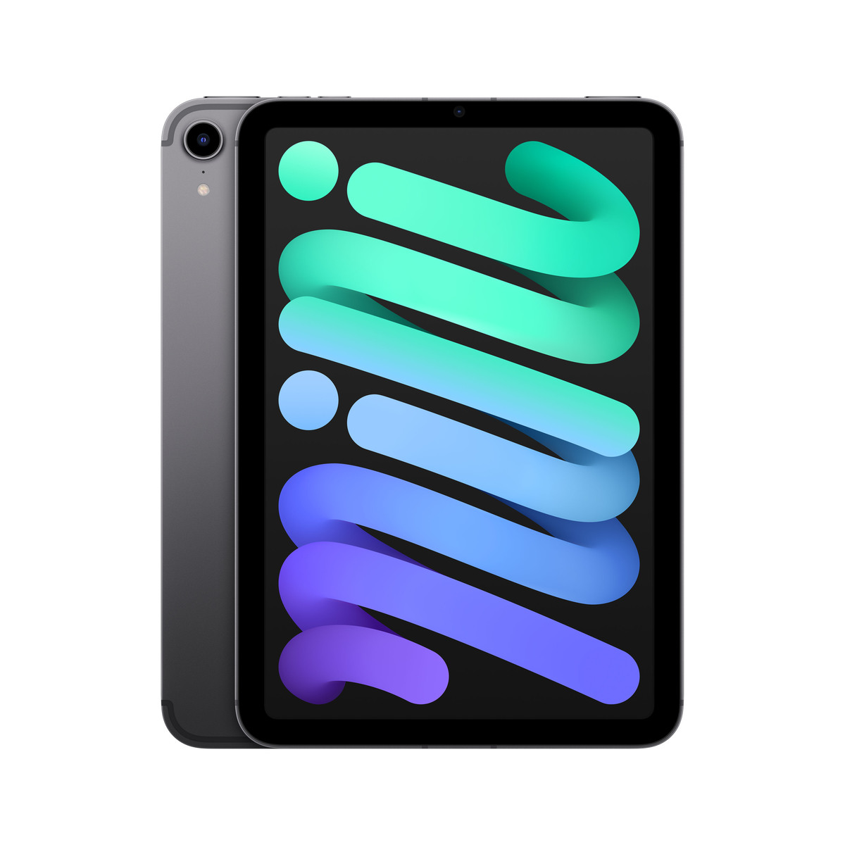Apple iPad mini Wi-Fi + Cellular 256GB - vesmírně šedý